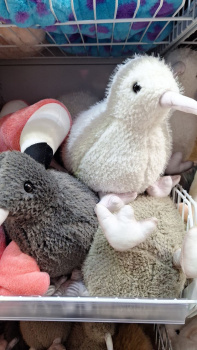 им Птица арт. 209259 Киви ??? см цвета микс в пак. им Птица арт. 209259 Киви ??? см цвета микс в пак.