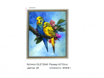 Алмазная мозаика арт. GLE72640 Два попугая 40*50 полная выкладка на подрамнике